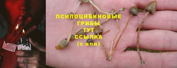каннабис Покачи