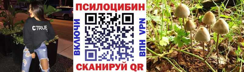 Псилоцибиновые грибы Magic Shrooms  где найти   Сретенск 